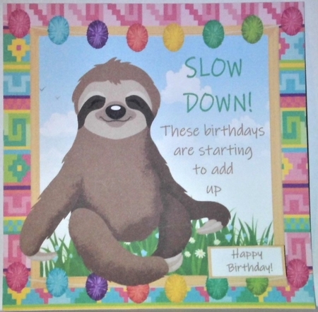 Slow down! These birthdays are starting to add up sloth 8x8  by Hazel Underwood