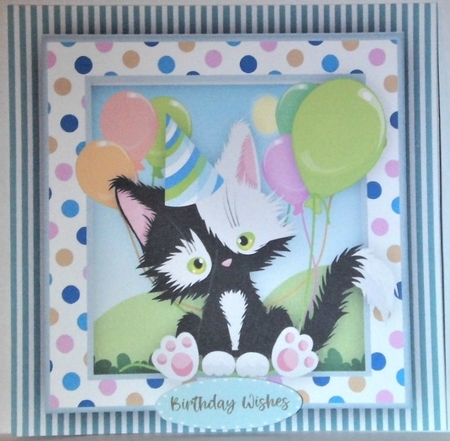 Black and White Kitty Cat  by Hazel Underwood