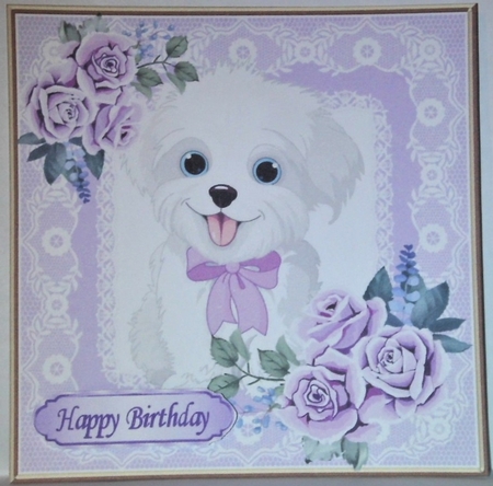 Cute white puppy in lace 8x8 frame with roses mini kit by Hazel Underwood