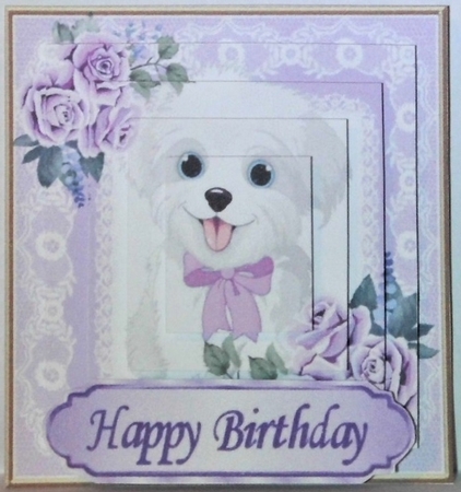 Cute white puppy in lace frame with  bow, pyramids by Hazel Underwood
