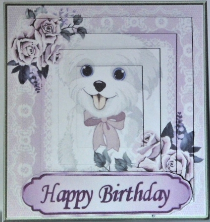 Cute white puppy in lace frame with  bow, pyramids (pink) by Hazel Underwood