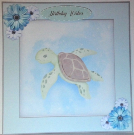 Beautiful Turtle  by Hazel Underwood