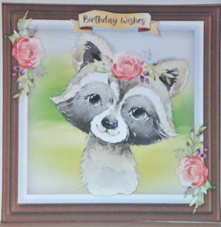 Beautiful Baby Raccoon  by Hazel Underwood