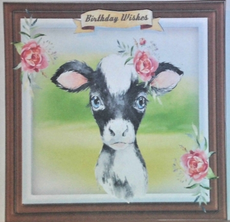Beautiful Baby Cow by Hazel Underwood