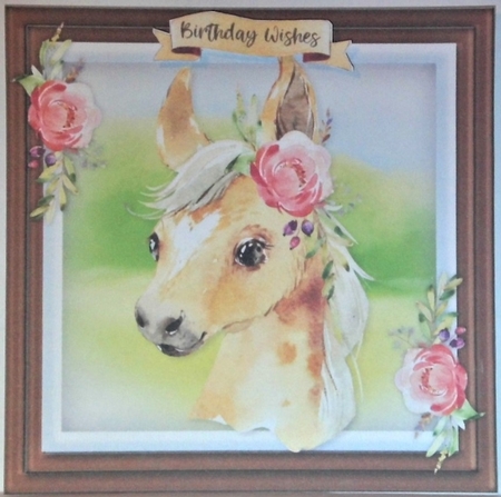 Beautiful Baby Foal by Hazel Underwood