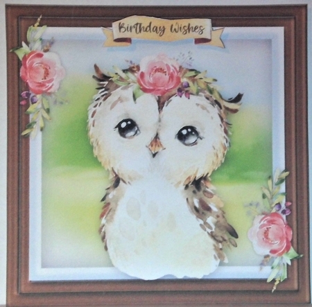 Beautiful Baby Owl by Hazel Underwood