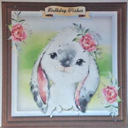 Beautiful Baby Rabbit by Hazel Underwood