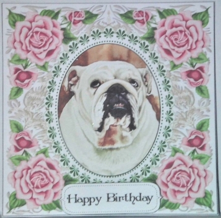 Pretty Rose Frame Bulldog by Hazel Underwood