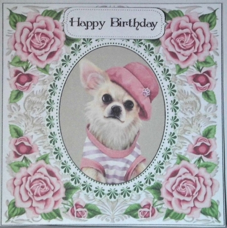 Pretty Rose Frame Chihuahua by Hazel Underwood
