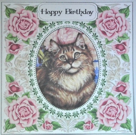 Pretty Rose Frame Tabby Cat by Hazel Underwood