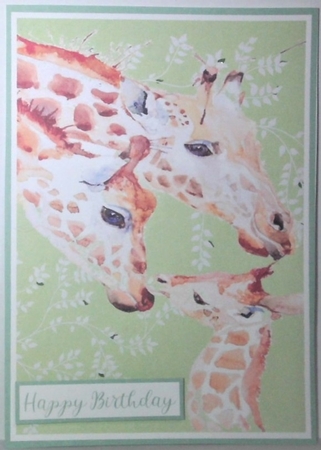 Giraffe Family Birthday by Hazel Underwood