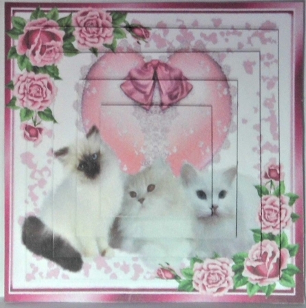 Cute kittens on lace pink heart with roses pyramids by Hazel Underwood