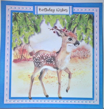 Beautiful Faun in the Wild  by Hazel Underwood