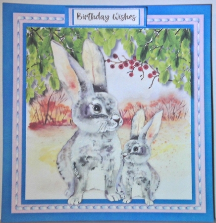 Beautiful Rabbits in the Wild  by Hazel Underwood