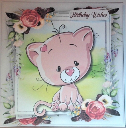 Beautiful Pink Kitty  Cat by Hazel Underwood