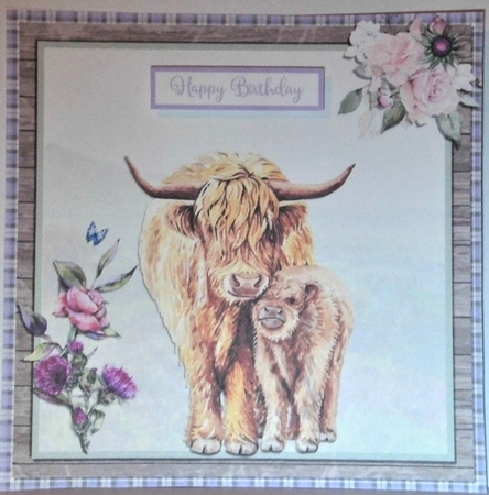 SCOTTISH COOS by Hazel Underwood