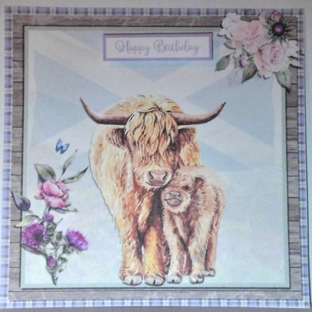 HIGHLAND COWS THISTLES 6X6 by Hazel Underwood