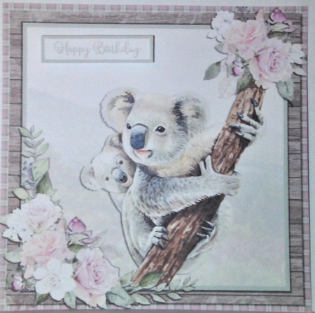 KOALAS 6X6 by Hazel Underwood