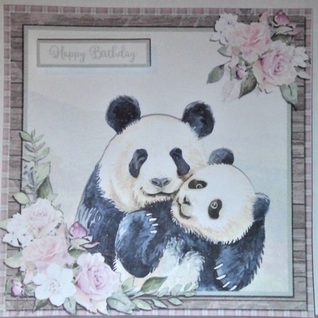 PANDA CUDDLES 6X6 by Hazel Underwood