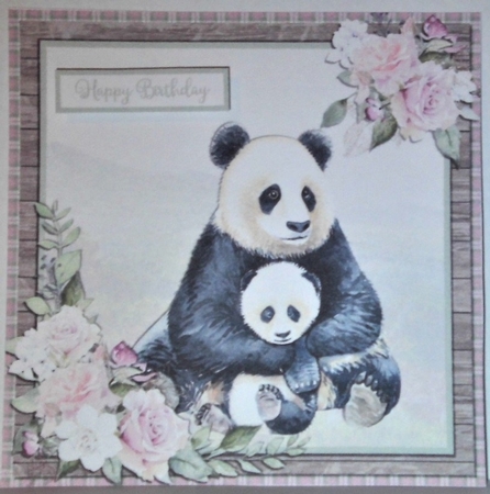 PANDA  6X6 by Hazel Underwood