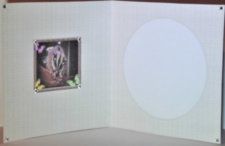 Sweet Little Sugar Glider 7x7 Insert by Hazel Underwood