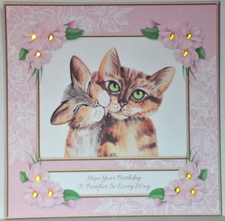Hope Your Birthday Is Purrfect In Every Way by Hazel Underwood