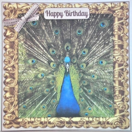 MULTI SENTIMENTS PEACOCK by Hazel Underwood