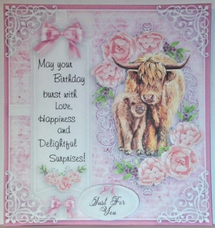 Ladies animal collection birthday kit by Hazel Underwood