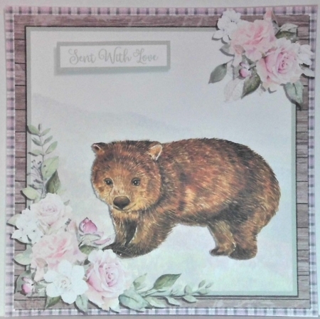 WOMBAT by Hazel Underwood