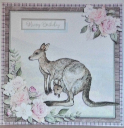 KANGAROOS 6X6 by Hazel Underwood
