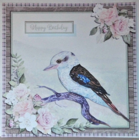 KOOKABURRA 6X6 by Hazel Underwood