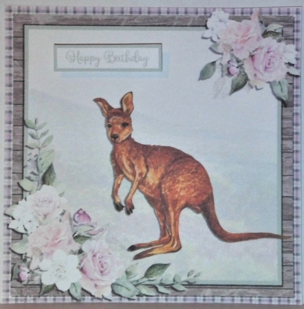 RED KANGAROO 6X6 by Hazel Underwood