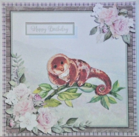 SPOTTED CUSCUS 6X6 by Hazel Underwood
