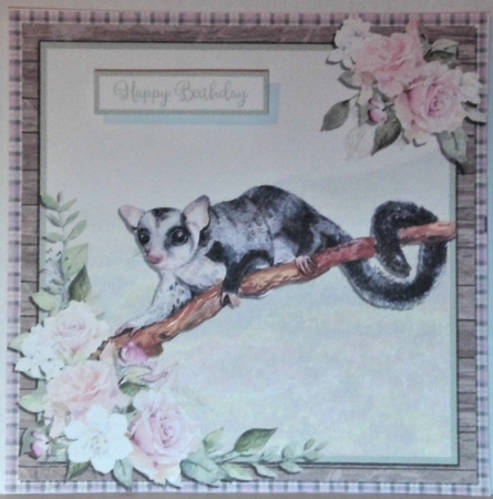 SUGAR GLIDER 6X6 by Hazel Underwood