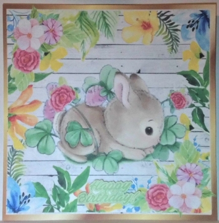 Water colour baby bunny in floral frame with roses 8x8 by Hazel Underwood