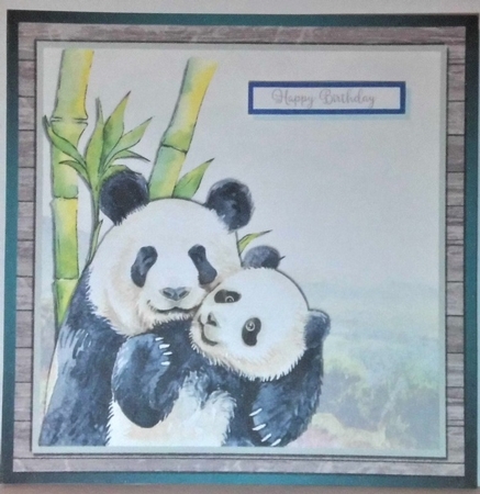 PANDAS  by Hazel Underwood