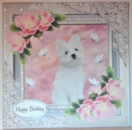 Lovely White Dog by Hazel Underwood