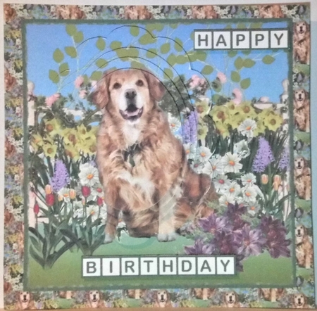 7x7 Labrador in Garden by Hazel Underwood
