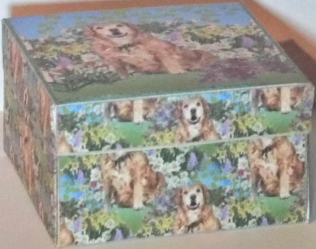GIFT BOX - LABRADOR IN GARDEN by Hazel Underwood