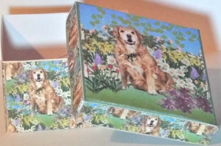 GIFT BOX - LABRADOR IN GARDEN by Hazel Underwood