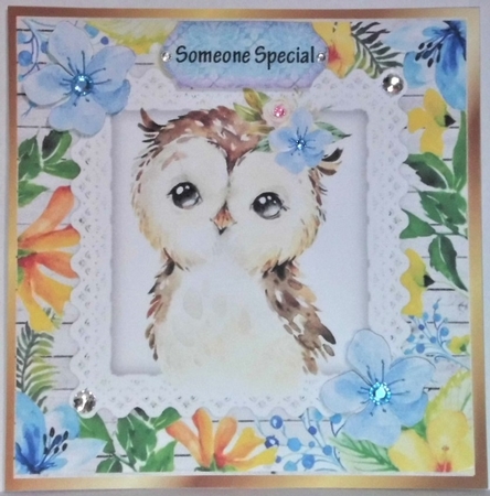 Pretty water colour owl with tropical flowers 8x8 by Hazel Underwood