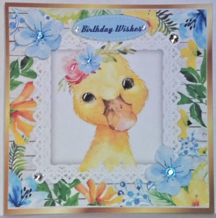 Pretty water colour duck with tropical flowers 8x8 by Hazel Underwood