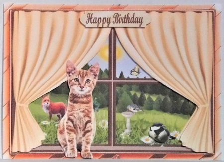 WHAT THE CAT SAW by Hazel Underwood
