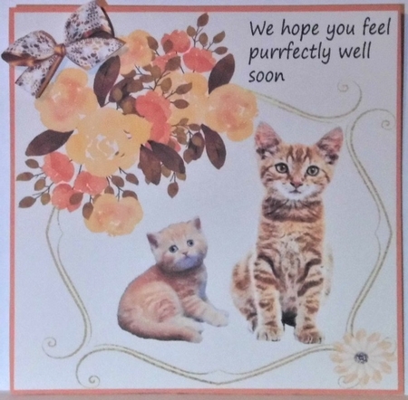 We hope you feel purrfectly well soon by Hazel Underwood