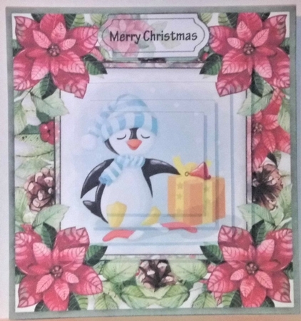 Christmas poinsettia by Hazel Underwood