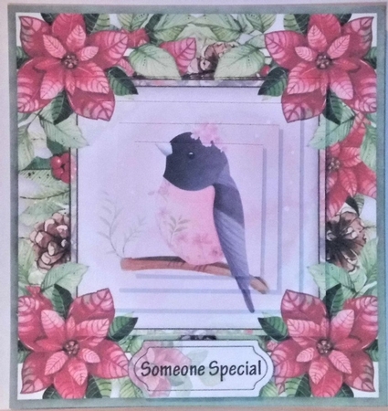 Christmas poinsettia by Hazel Underwood
