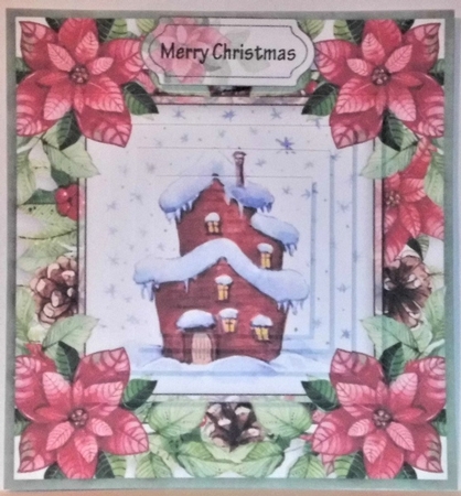Christmas poinsettia by Hazel Underwood