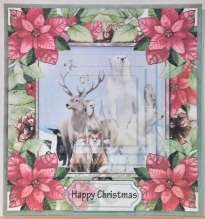 Christmas poinsettia by Hazel Underwood