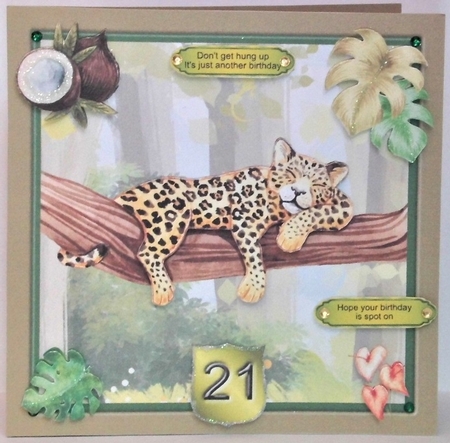 Take it easy - Leopard card mini kit & decoupage by Hazel Underwood