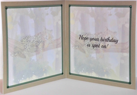 Take it easy - Leopard card mini kit & decoupage by Hazel Underwood